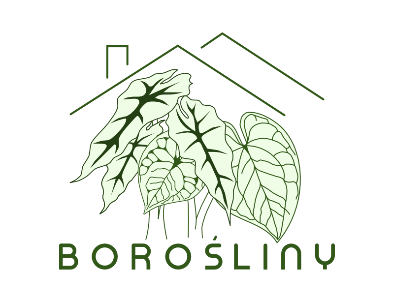 Bororośliny